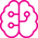 brain-circuit