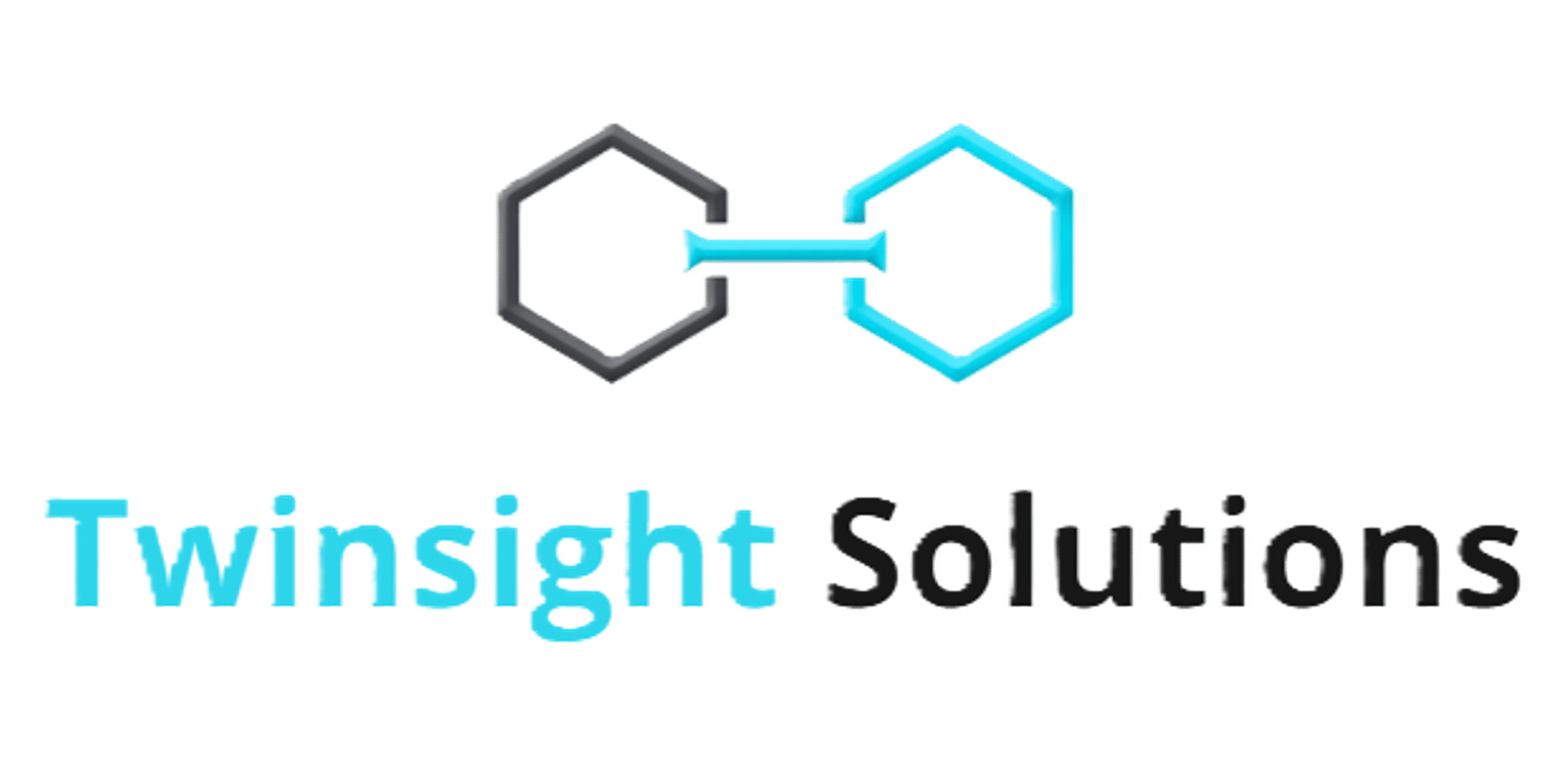 Twinsight Solutions logo_transparent BG2