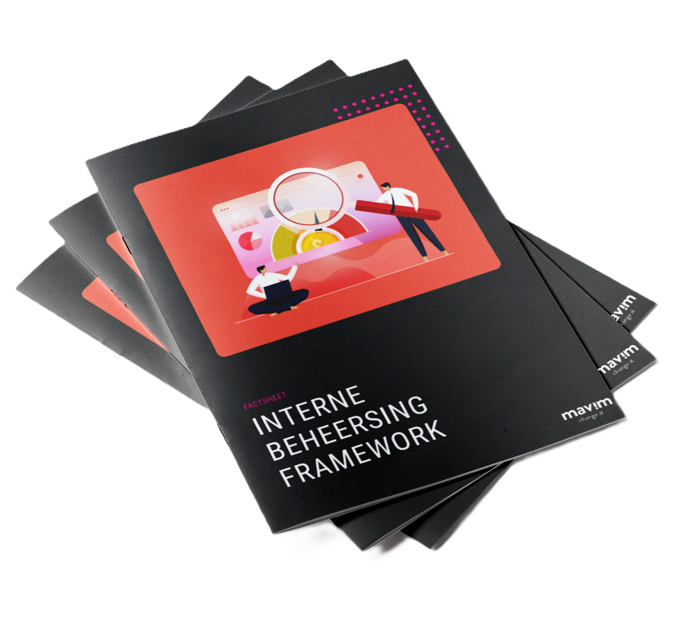 Interne Beheersing Framework