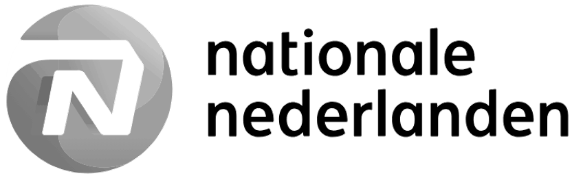 nn-logo-grey