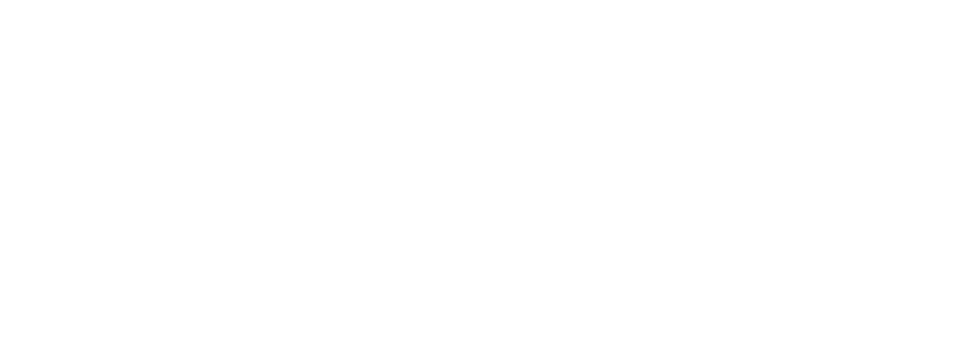 Mavim logo White